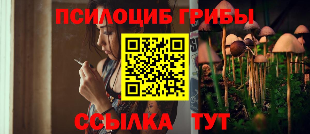 Псилоцибиновые грибы Cubensis Ялта